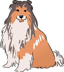 Rough Collie