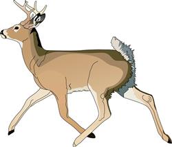 RUNNING DEER