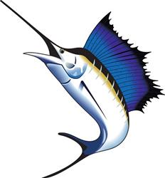 SAILFISH