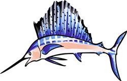 SAILFISH