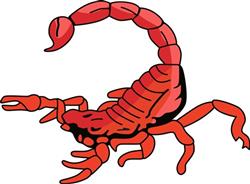 SCORPION