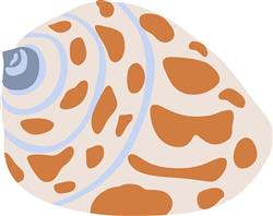 SEA SHELL