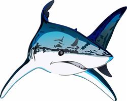 SHARK