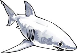 SHARK
