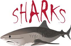 SHARKS