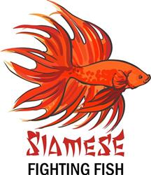 SIAMESE FIGHTING FISH