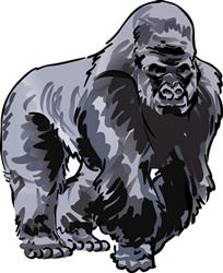 SILVERBACK GORILLA