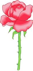 SINGLE ROSE