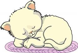 SLEEPING KITTEN
