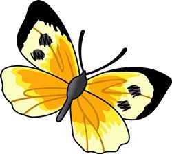 SMALL BUTTERFLY