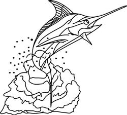 SMALL MARLIN