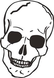 SMALL SKULL