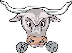 SNORTING BULL