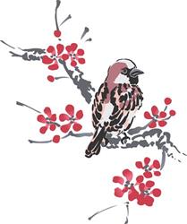 SPARROW