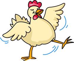 SPRING CHICKEN