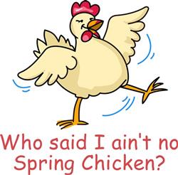 SPRING CHICKEN