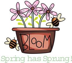 SPRING HAS SPRUNG!