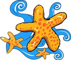 STARFISH