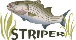 STRIPER