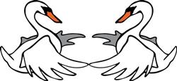 Swans