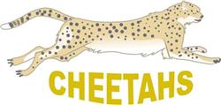 TEAM CHEETAHS