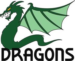 TEAM DRAGONS