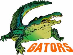 TEAM GATORS