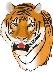 TIGER HEAD