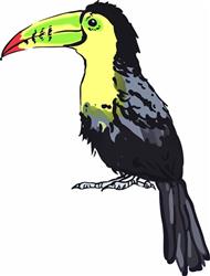 TOUCAN