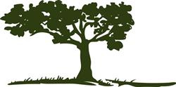 TREE AND GRASS