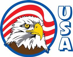 USA EAGLE FLAG
