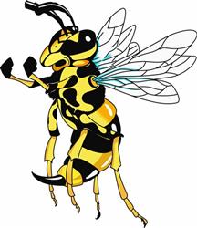YELLOW JACKET