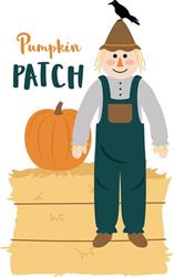 Pumpkin Patch