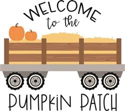 Pumpkin Patch