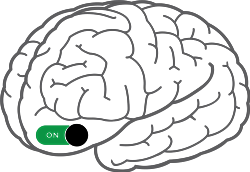 Brain On