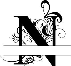 Elegant Split Letter N