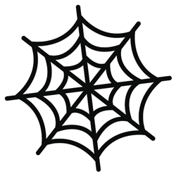 Spider Web