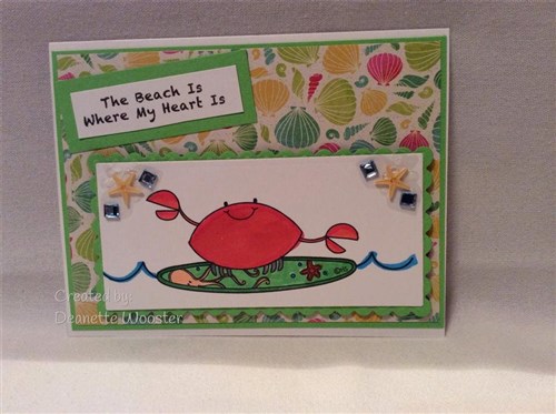 Surfer Crab