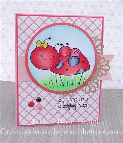 Ladybug Hugs