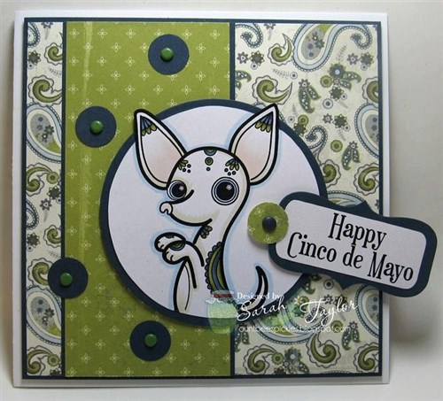 Chihuahua