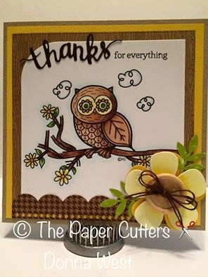 Nature Owl