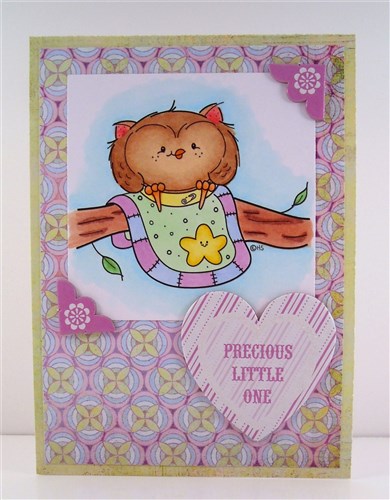 Little Owl