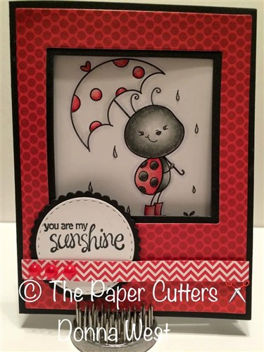 Puddle Bug Ladybug