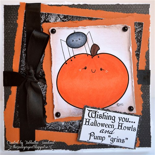 Pumpkin & Spider