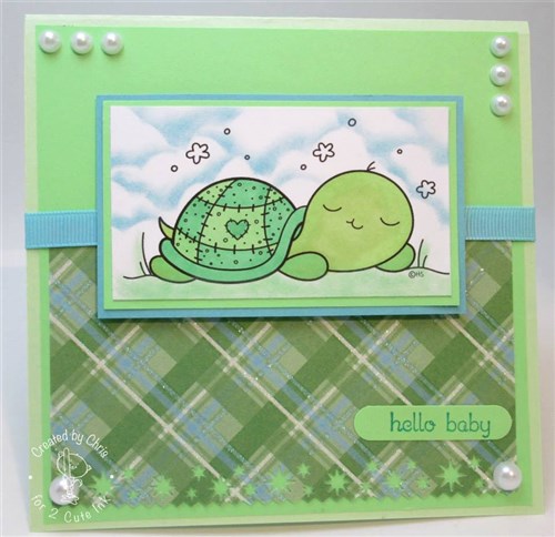 Sleeping Turtle