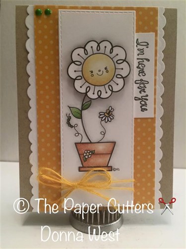 Daisy Flower