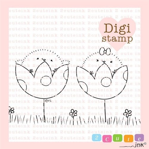 Spring Chicks Spring Chicks