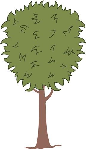Arbor Tree Arbor Tree