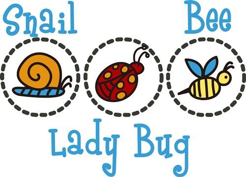Bug Designs Bug Designs