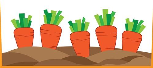 Carrots Carrots